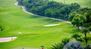 Sân tập golf